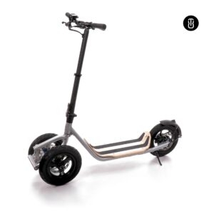 3-Wheel Scooter